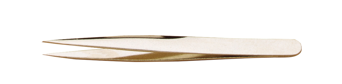 CDF28163B5588DADD08E1528F166C504