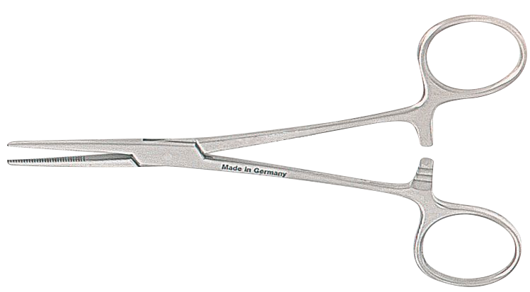 D0CE1C22E79ACBB16FC6B81F3573302F