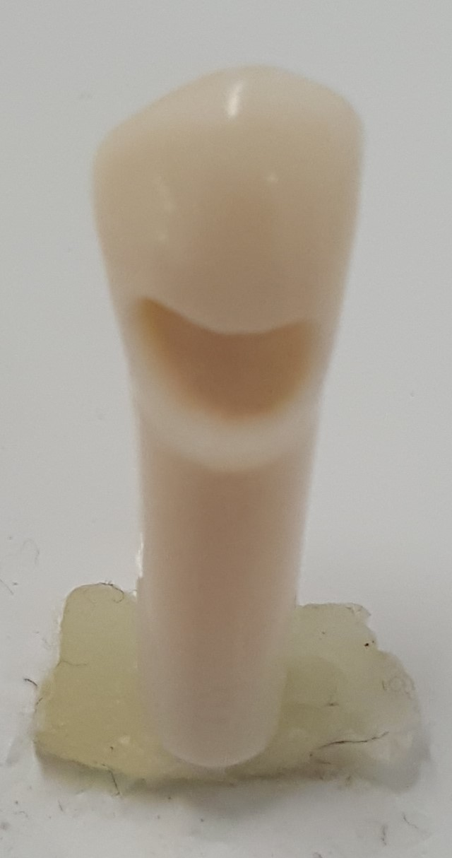 Crown Prep Teeth A21A-LR35 product image