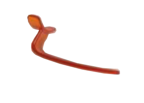 Cover Chin Bite Sinus product image