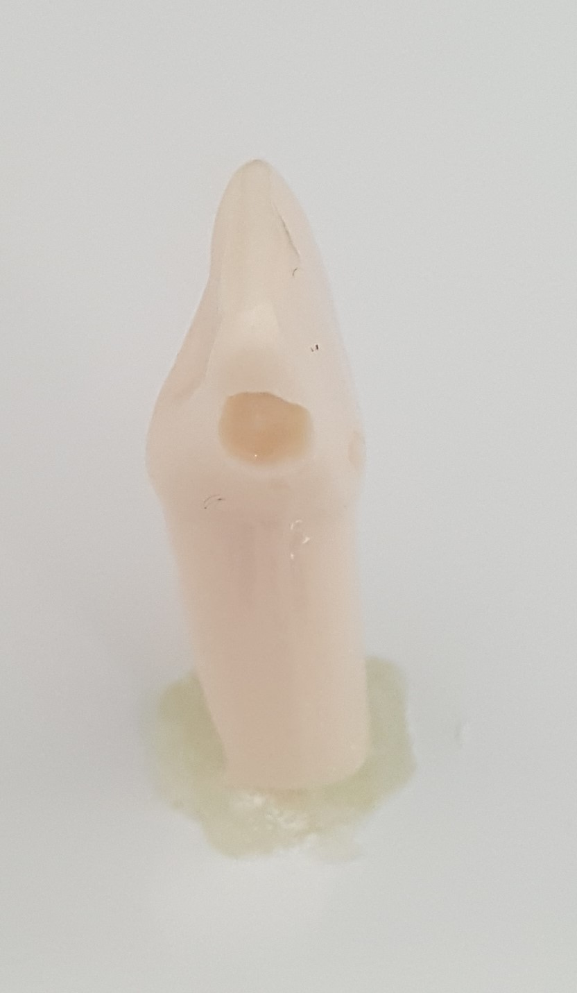 Prep Tooth #9 A21AN-UL19L product image
