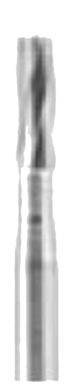 D904A7B6B0313C3E2300216BAAEEE5C4