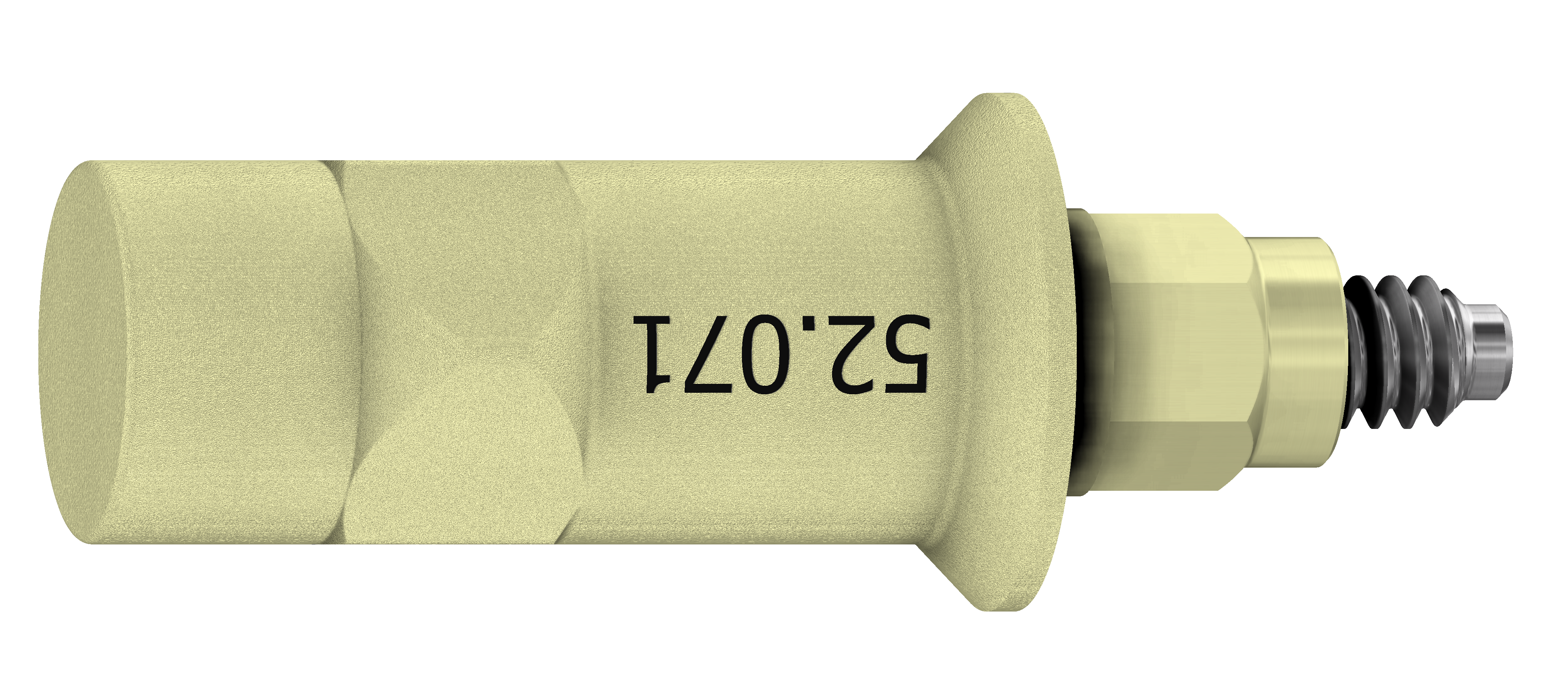 Scan Abutment Intraoral 5.5 Titanium - Internal Hex FD product image