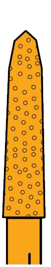 DE54C365C2B7C356A88AFC7C6D307F46