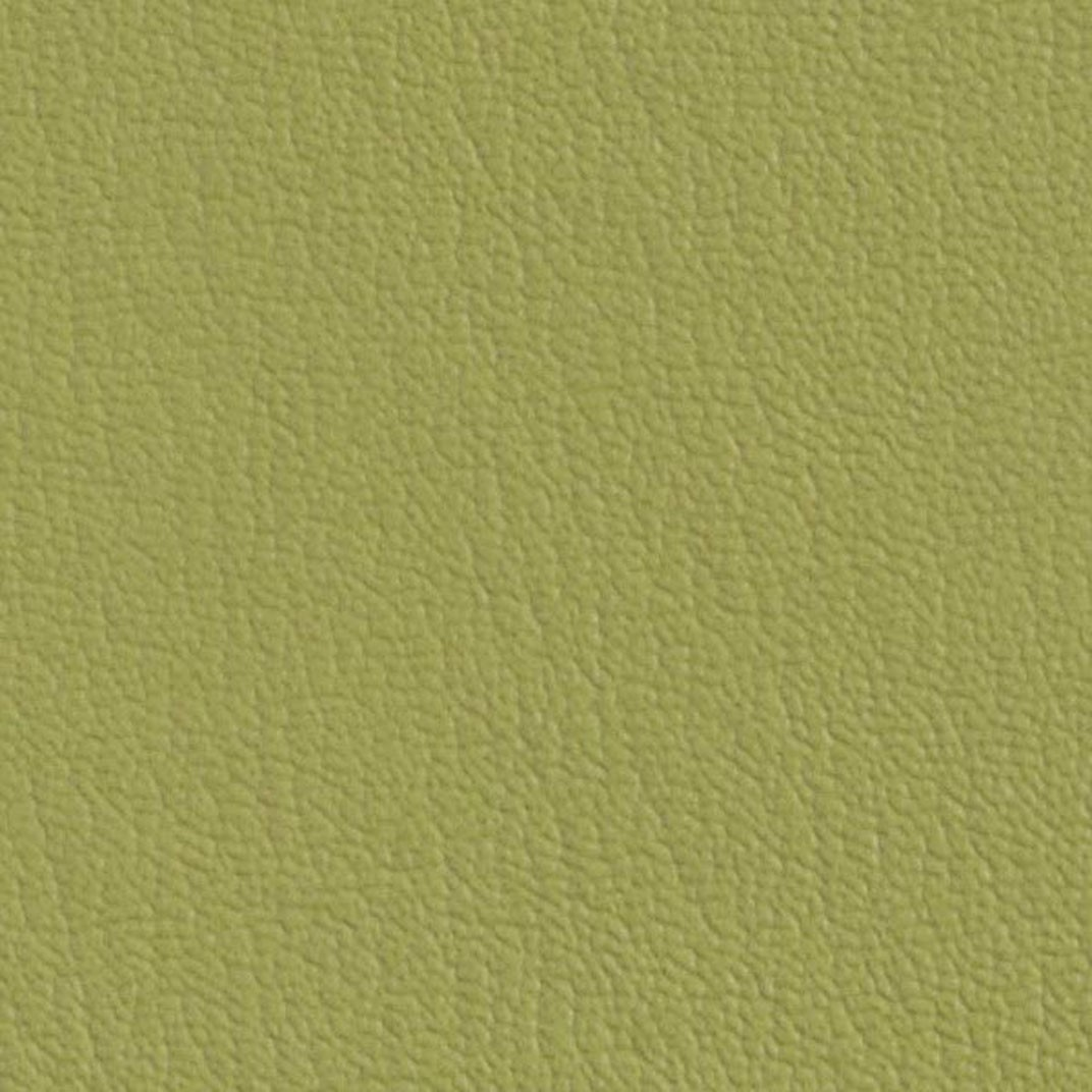Upholstery Boltaflex Material Leap Frog 49150200 product image