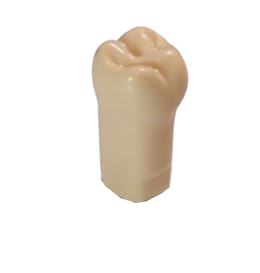 #03 ModuPro One M300 Tooth product image