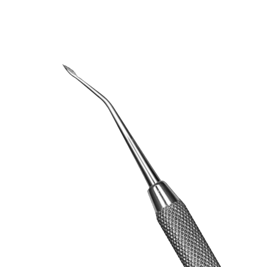 E577D99D62ABE317F2034FE041A3C095