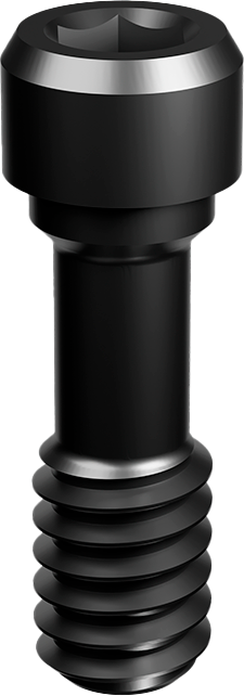 Brånemark NP Elos Prosthetic Screw product image