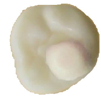 EE3B12F48E584797B46BDD33BD44AD0E