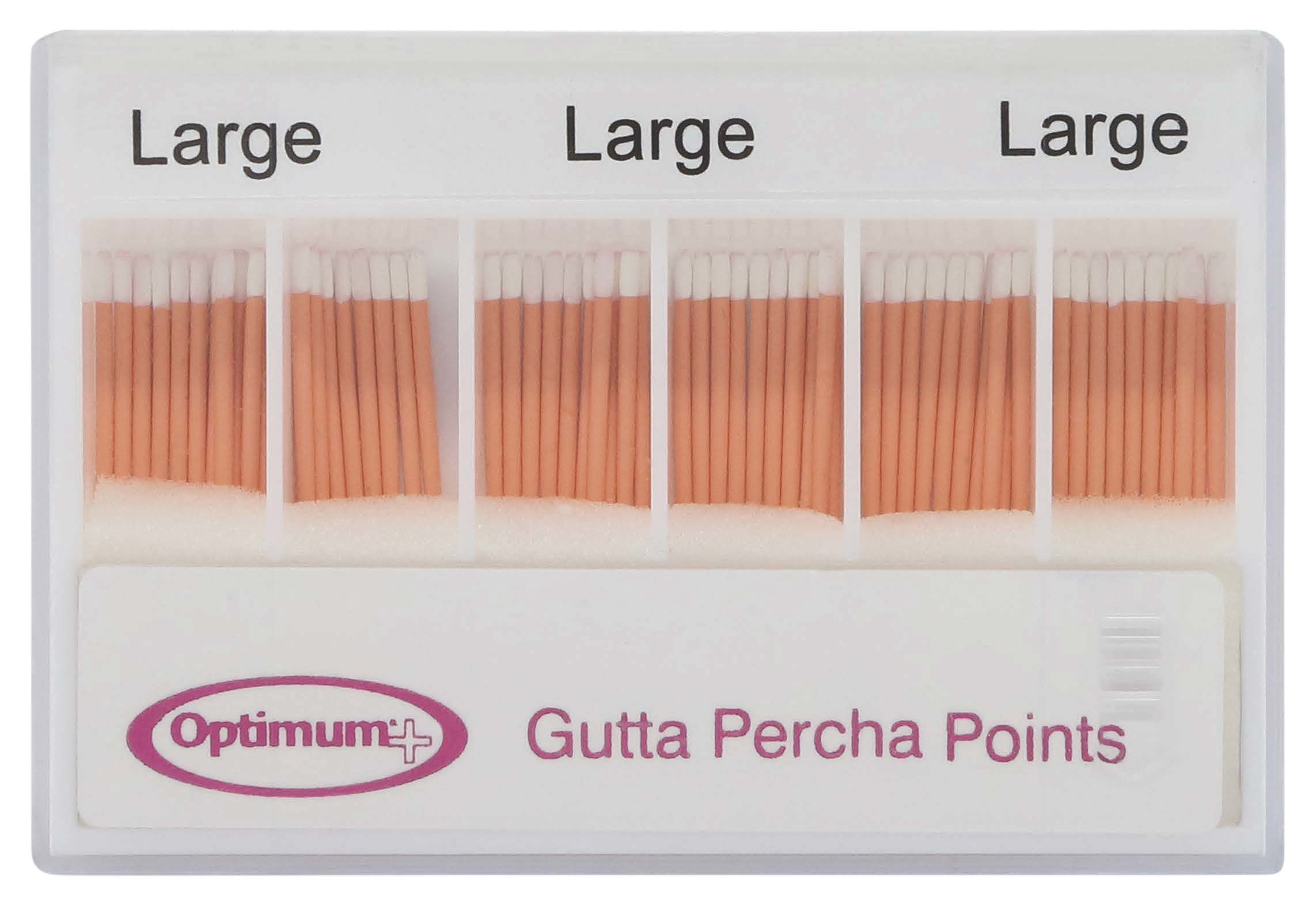 F10DBE685A424872897518A9C4EE054F