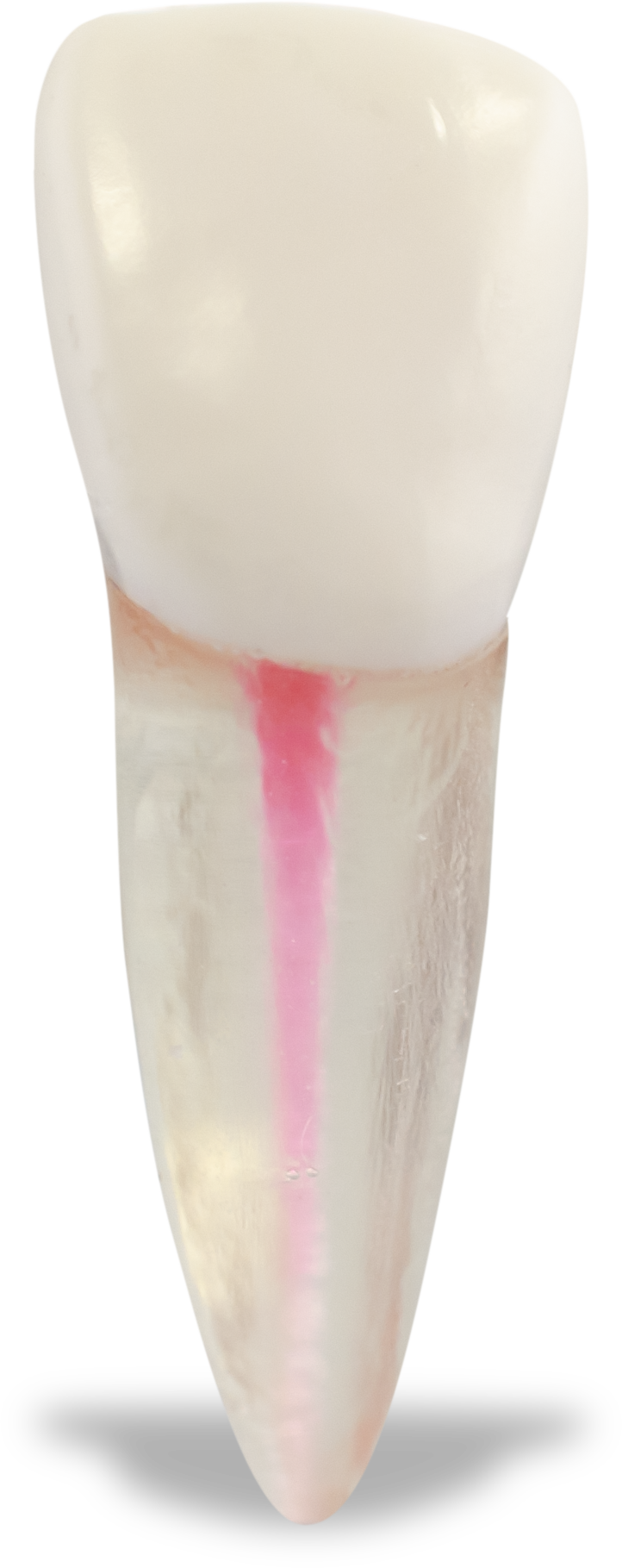 F2B4E4B6A1BCAA1AF6A785FB9A568A6D