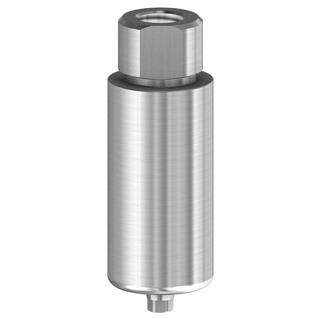 Premilled Blank 10mm Titanium NP Active Hex product image