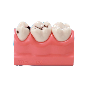 Sealant Model product image