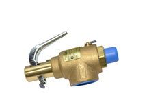 Safety Relief Valve product image