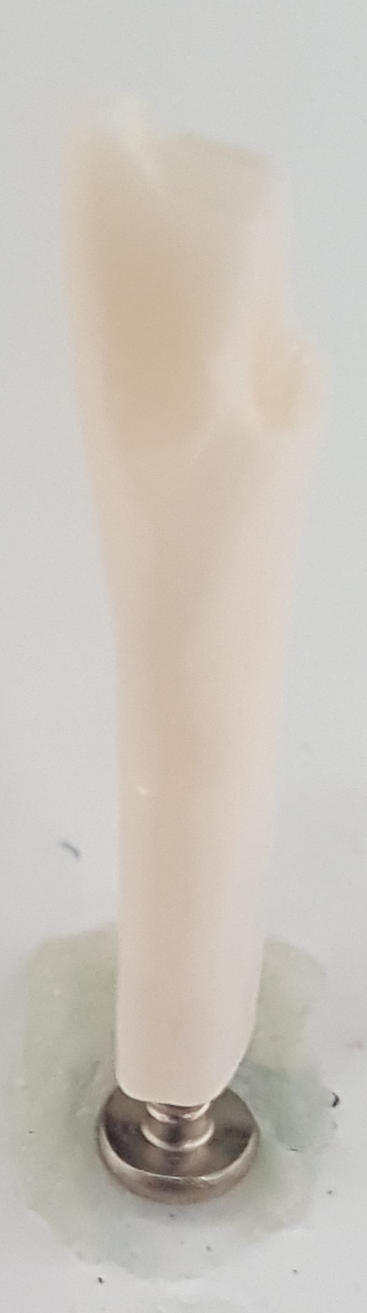 Crown Prep Teeth A21A-LL14 product image