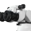 FF8765185ED50DDD0A28359850736315